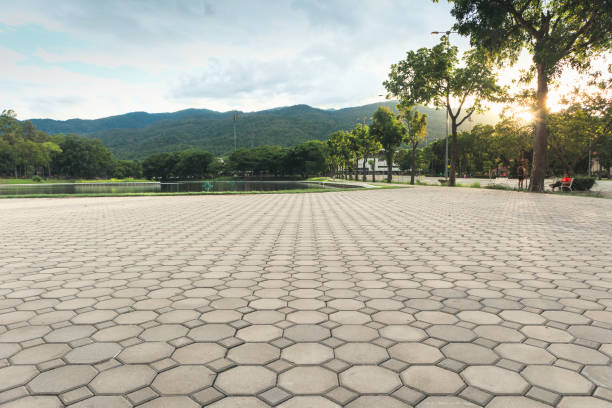 Best Best Driveway Pavers  in Cornelia, GA
